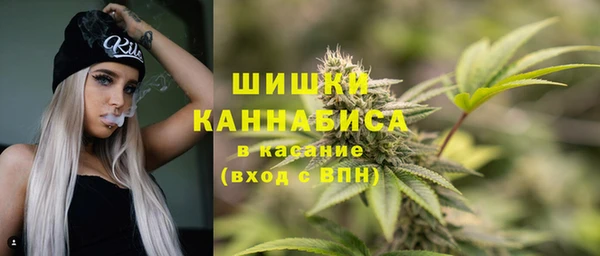 прущий лед Бежецк