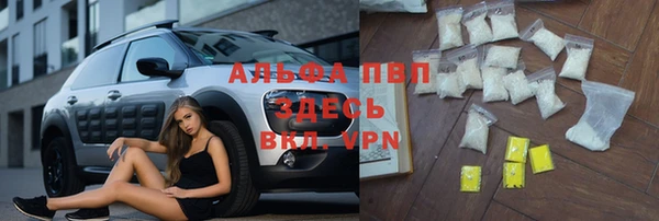 прущий лед Бежецк