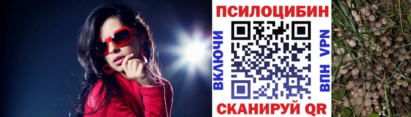 darknet телеграм  Кириллов  Псилоцибиновые грибы Magic Shrooms  где купить наркотик 